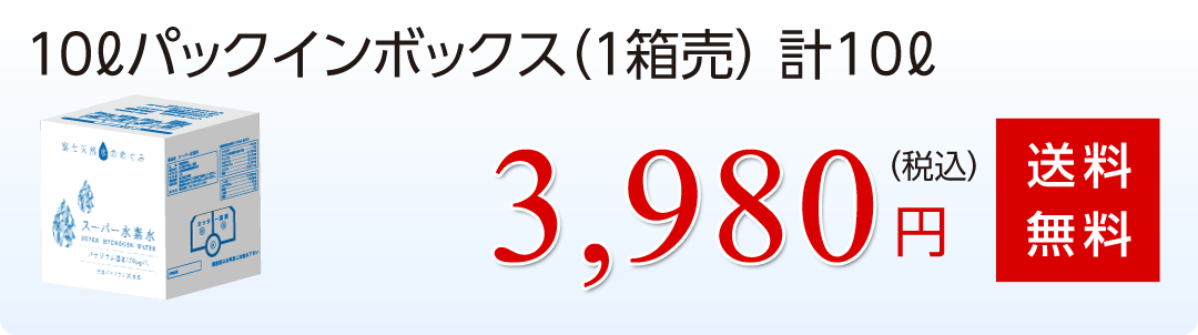 10Lパックインボックス（1箱売）計10L