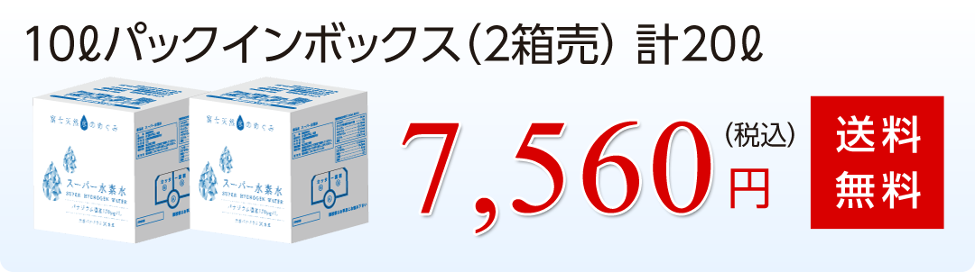 10Lパックインボックス（2箱売）計20L